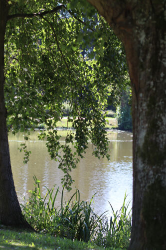 Blick auf Maasgrundweiher in Oberursel | © Christiane Schenke