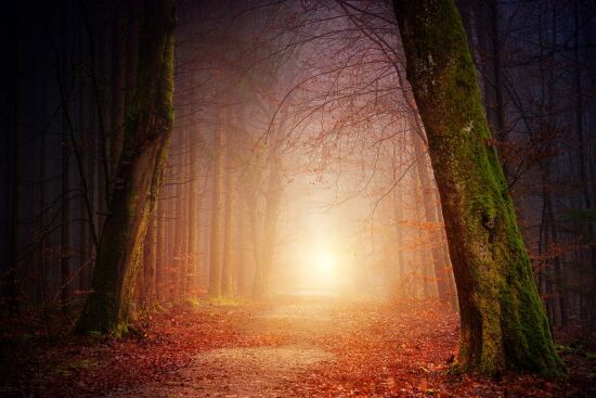 Mystische Natur