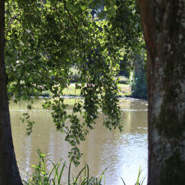 Blick auf Maasgrundweiher in Oberursel | © Christiane Schenke